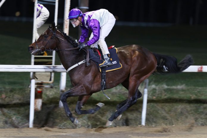 jungleboogie_dortmun