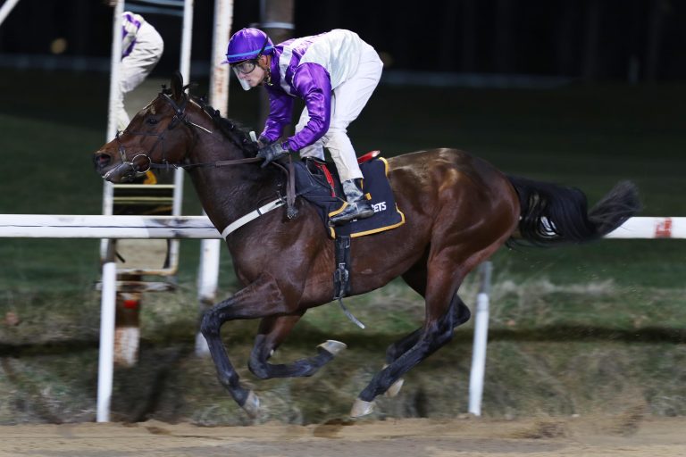 Jungleboogie: Generalprobe für 10:10 gelungen