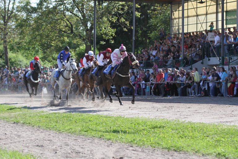 Viermal die Galopper zu Gast in Karlsruhe