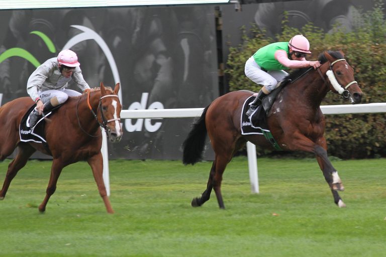Finale der Sandbahnsaison in Dortmund