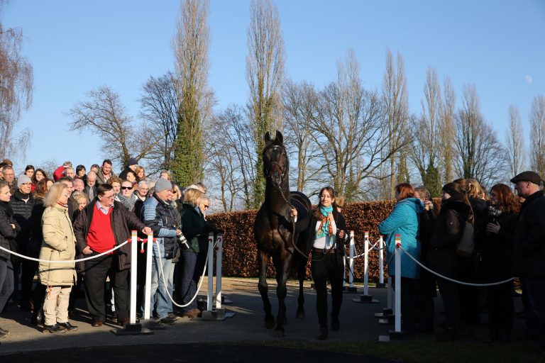 400 Gäste – Volles Haus beim Röttgener Züchtertreff