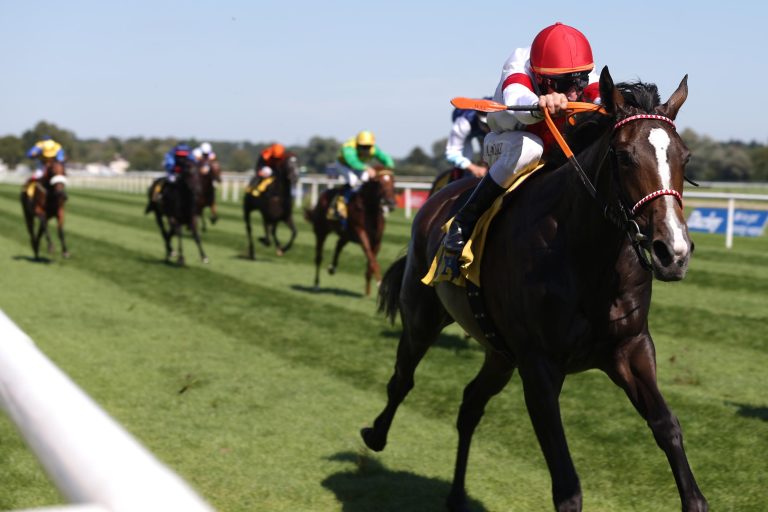 Kambria gegen viele „dunkle“ Pferde