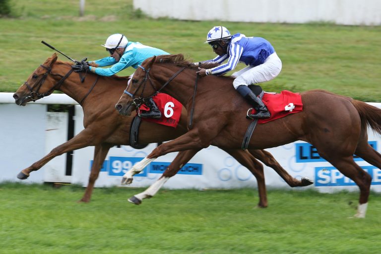 Hickst auch im Berliner Auktionsrennen vorne