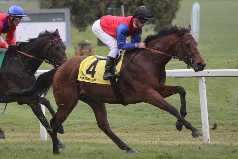 Derby Pool in Bergheim: Karajol erzielt Höchstpreis