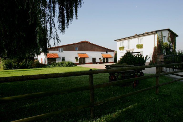 Karlshofer Jaleo siegt in Catterick