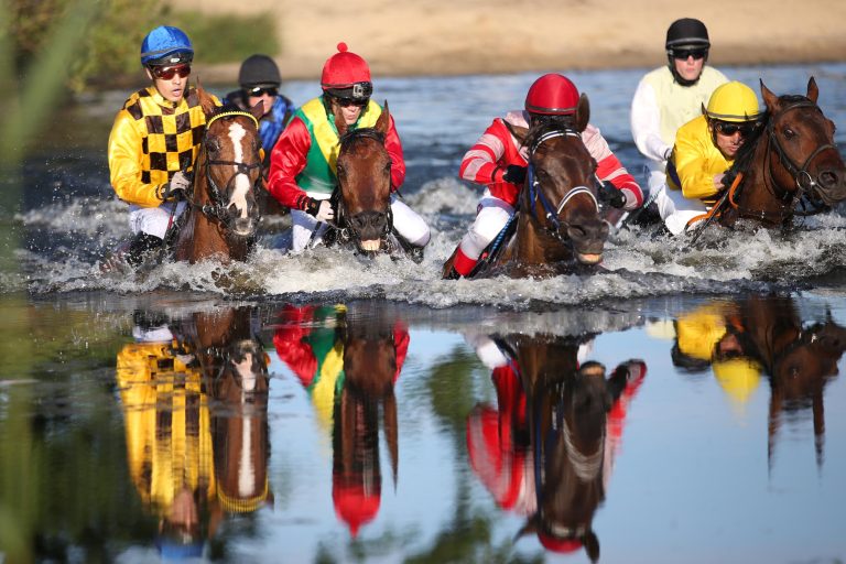 Ein Stelldichein der Steepler in der Bremer Vahr