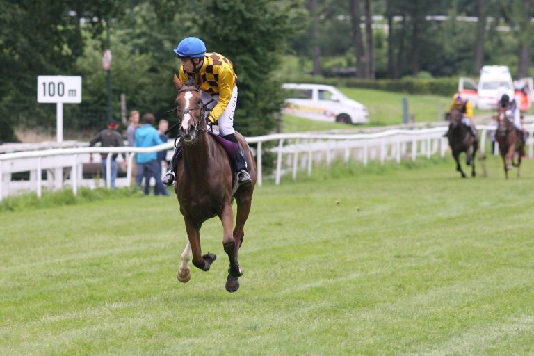 Zweiter im 100.000er! Kazzio bärenstark in Waregem