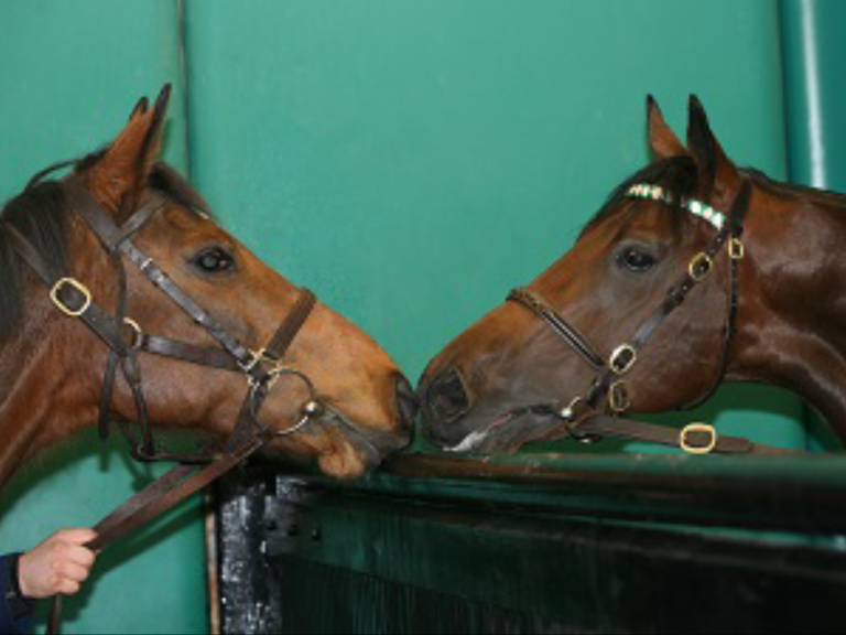 Kind (li.) mit ihrem letzten Partner Kingman