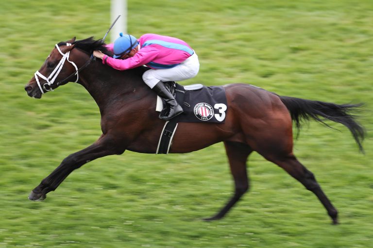 King David siegt unter Oliver Wilson