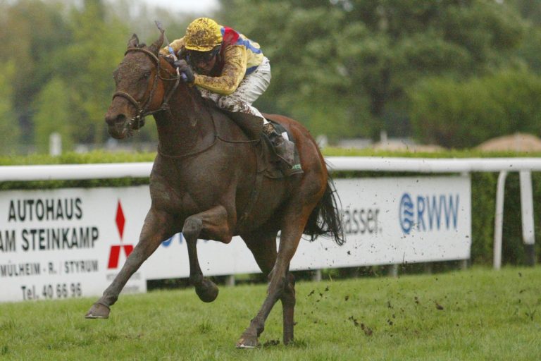 Die Schwester von King of Boxmeer kommt!