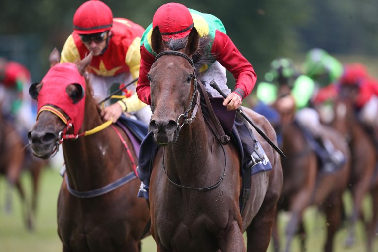 Kiss The Wind (Archiv)