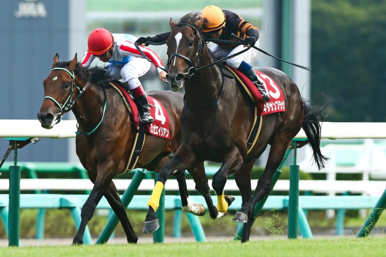 Kitasan Black (re.) Foto: Sorge