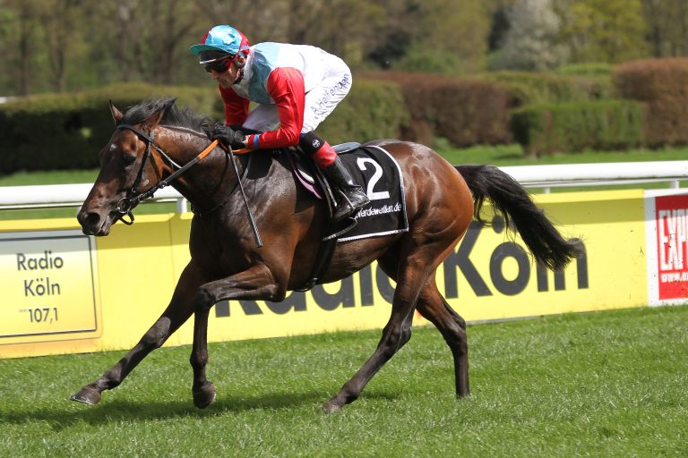 Klugs Klüngel hochüberlegen im Steher-Cup