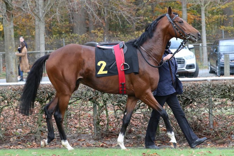 Koba trägt im Dreijährigen-Rennen Höchstgewicht