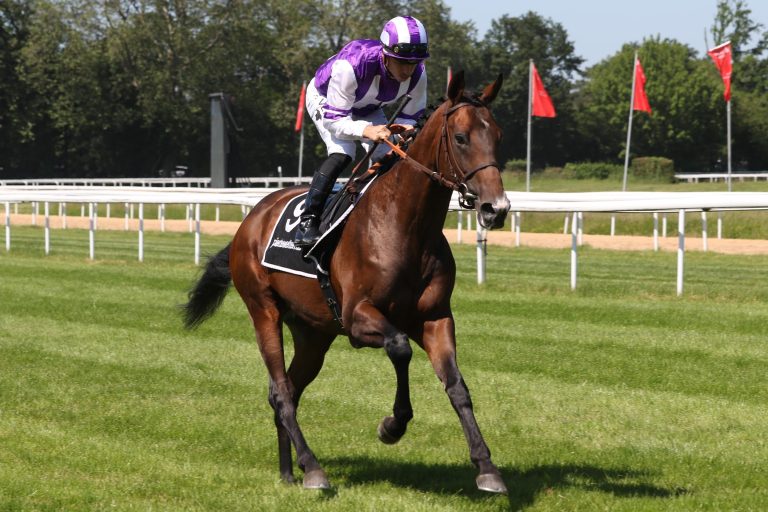 Drei Mal Höny-Hof im SWTV Derby Countdown