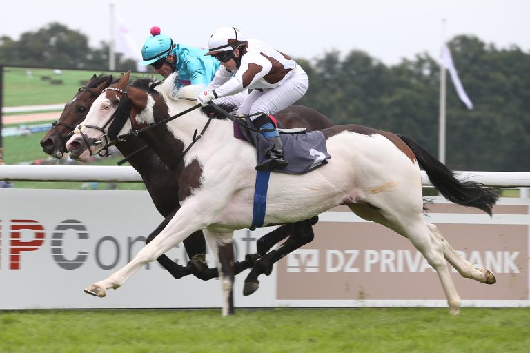 Das bunte Pferd verliert am grünen Tisch von Köln