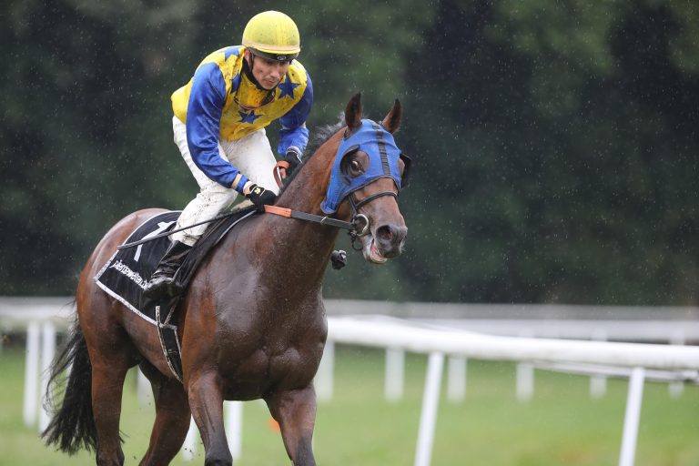 Noch 6 Tage – Grocer Jack im Countdown