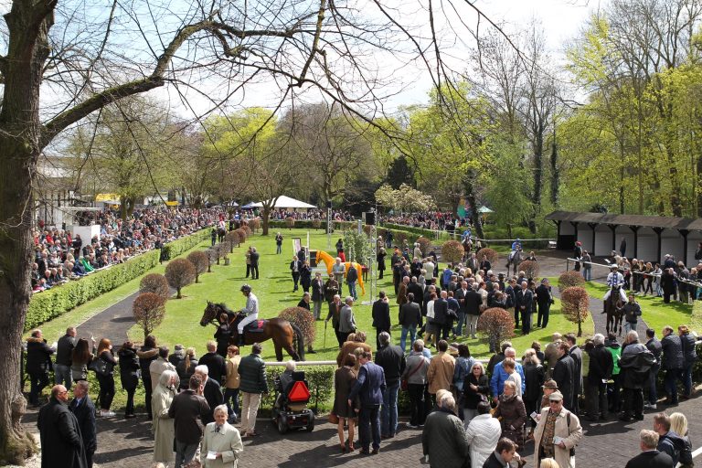 Wett-Check für Kölner Samstag