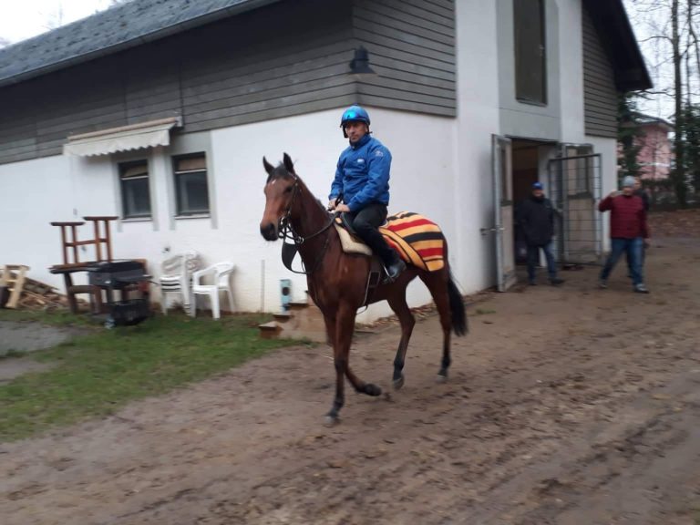 Korpas-Stallparade: „Black Type-Pferde weiter steigern“