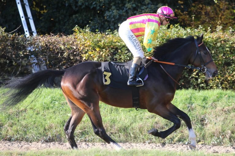 Noch 8 Tage – Prince Oliver im Derby Countdown