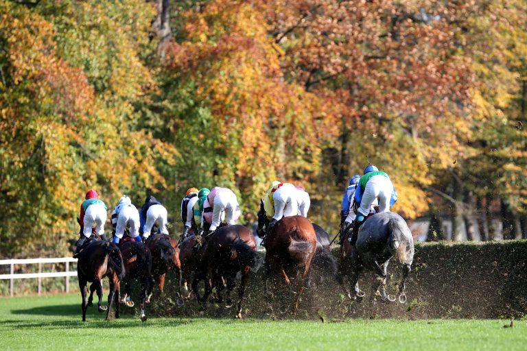 Krefeld: Ausgleich II, dreijährige Stuten und ganz viele Ladies im Stadtwald