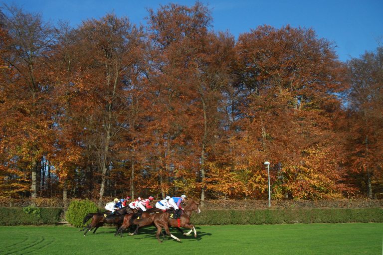 Sport-Welt TV Wett-Check für Krefeld heute