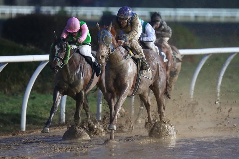 Kreuz As fliegt an den Favoriten vorbei
