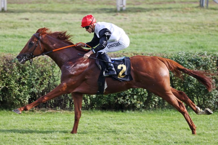 Hammer-Hansens Hattrick: Auch Kurtmatheus vorne