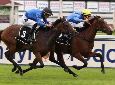 La Estrellita starke Vierte in Saint-Cloud