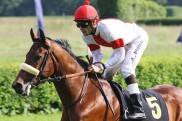 Statt Royal Ascot: Lacateno nun nach Maisons-Laffitte