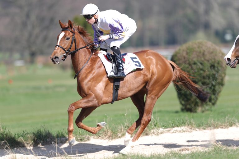 Die Champions League 2017: So steht es