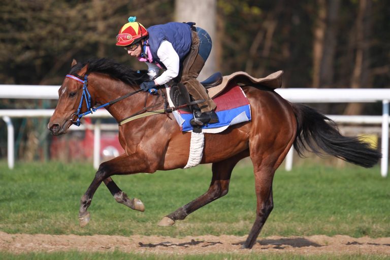 Lady Liberty im Listenrennen in Saint-Cloud