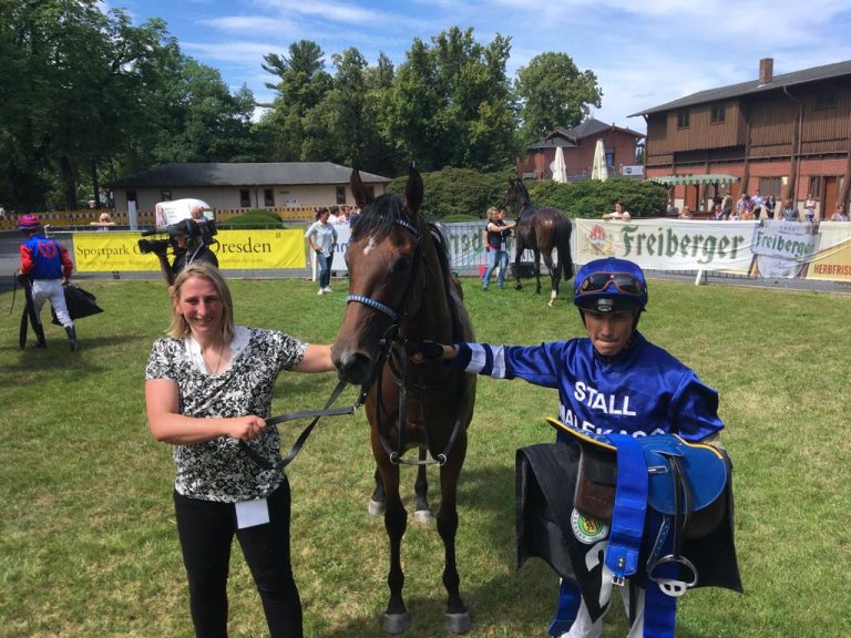 Lady of New York (Archiv)