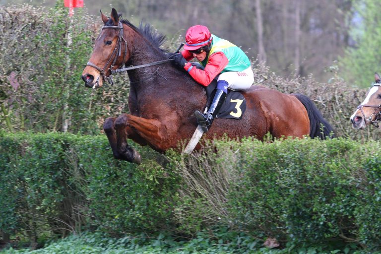 Ländler im Svenskt Grand National dabei