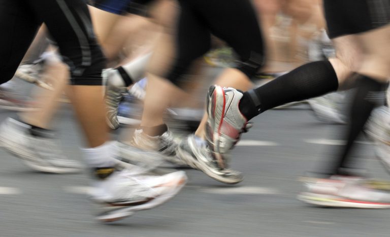 Aufgalopp: Auf dem Laufenden Bleiben!