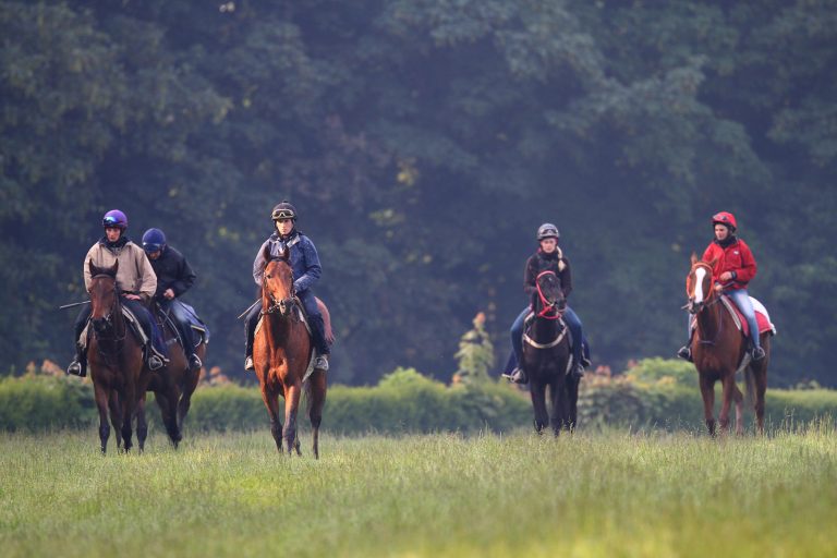 Lahr-Meissenheim am 28.Juni mit Neustart