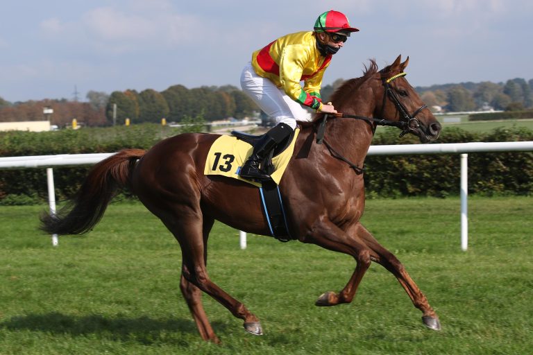 Lambo zweijährig in Iffezheim
