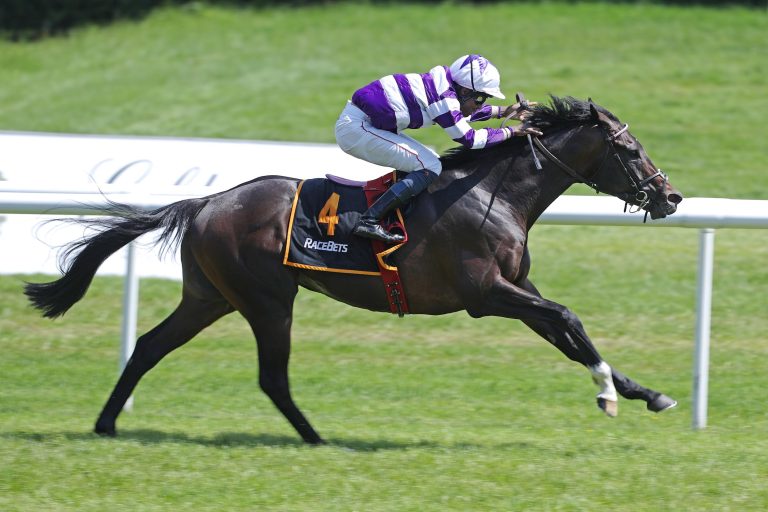 Langtang wird Deckhengst auf dem Gestüt Graditz