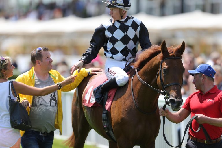 Globetrotter Lateran Accord Alpenländer Sieger