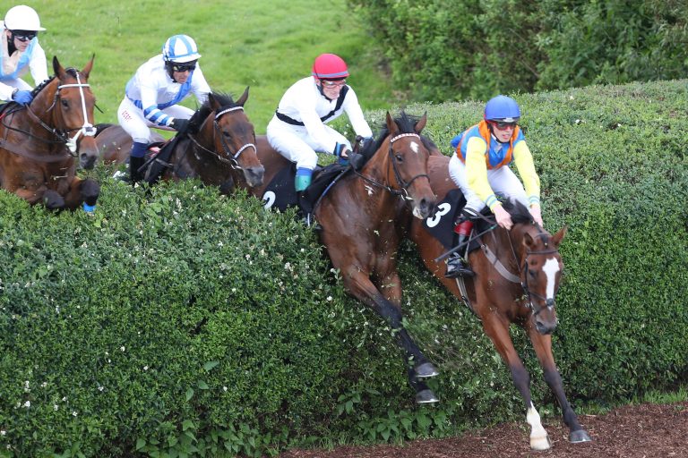 Carlingford Lough wieder im Irish Gold Cup