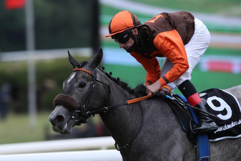 Leopoldina sorgt für Grewes 15. Black Type-Sieg