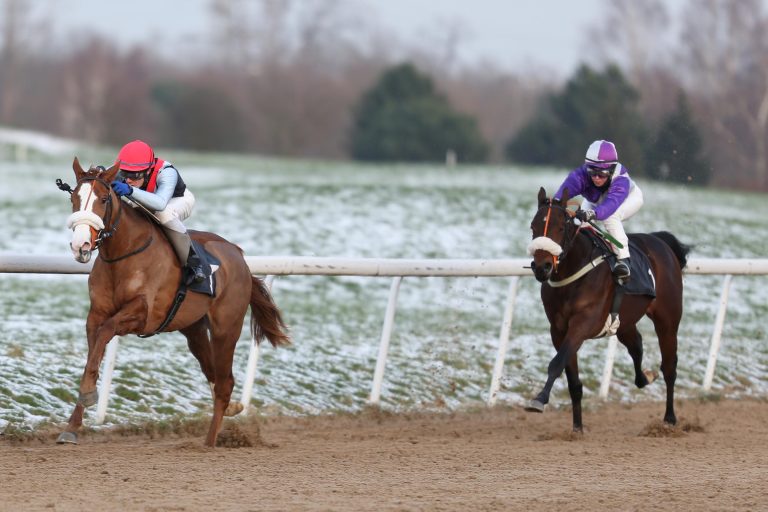 Auch 2016 wird das Austrian Derby ausgetragen!