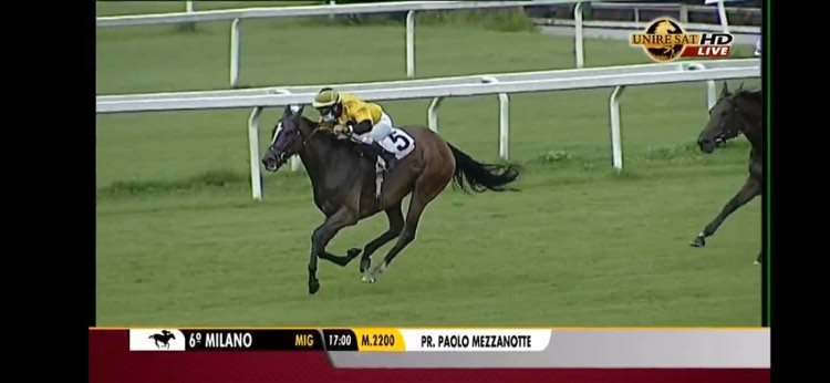 Light My Fire in Mailand (Foto TV-Übertragung)