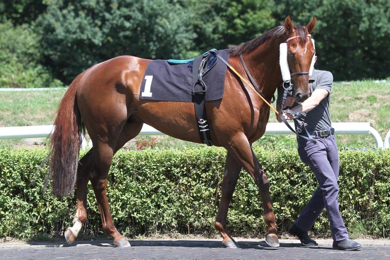 Neuerwerbungen: Gesehen – Gekauft –  Gewonnen