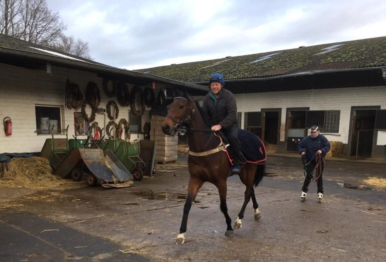 Kurioses Training in Weilerswist