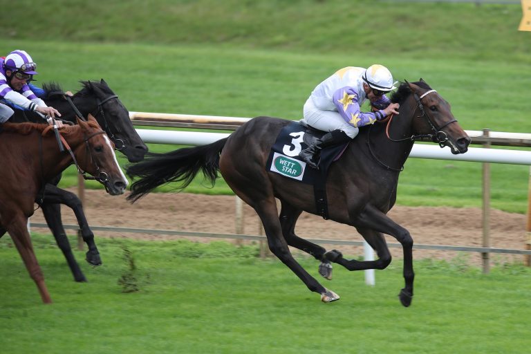 Winterkönigin /Winterfavorit: Weiter offen für Nennungen