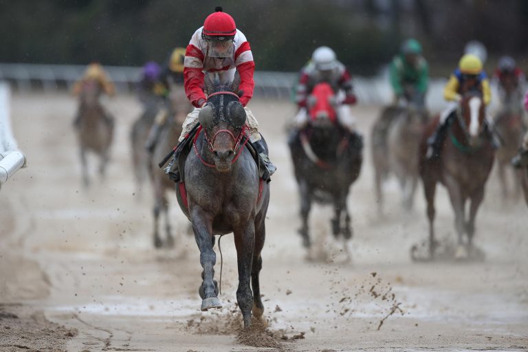 Perlenkette: Log In früh als Sieger eingeloggt