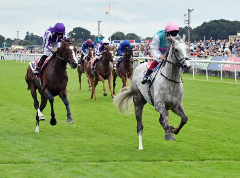 Logician Foto: Sorge