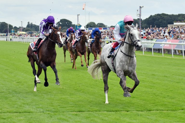 Logician Foto: Sorge