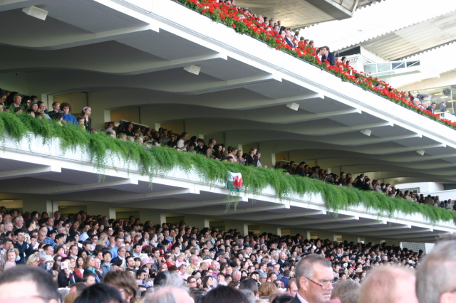 longchamp_arc_tribuene